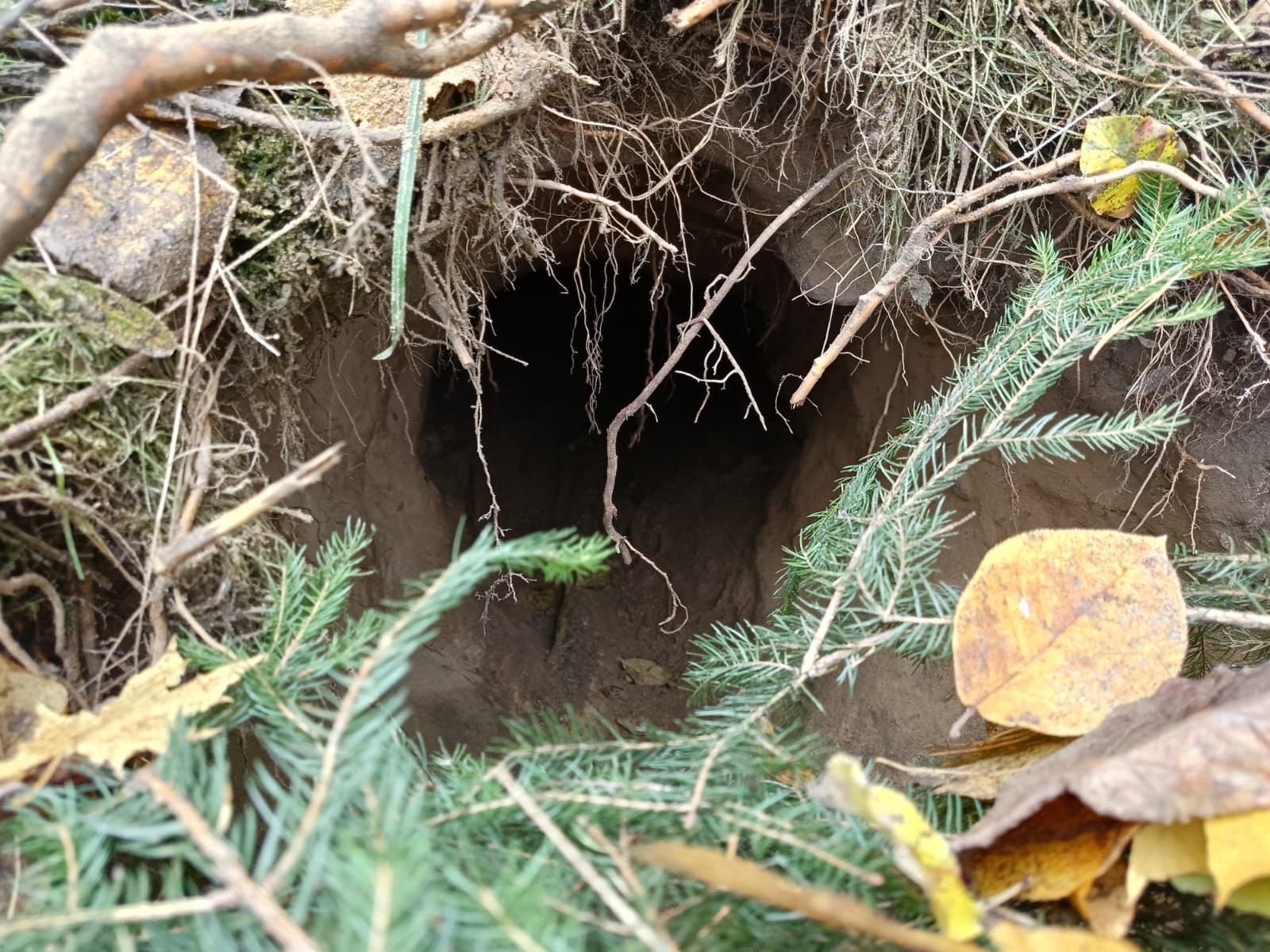 У Польщу копають підземні тунелі з білорусі