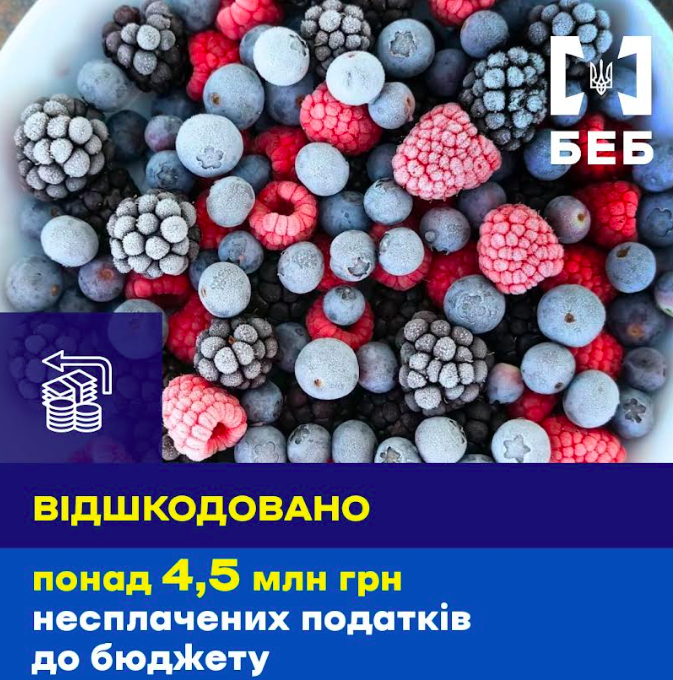 Несплата мільйонів податків: на Волині судитимуть підприємицю несплата податків