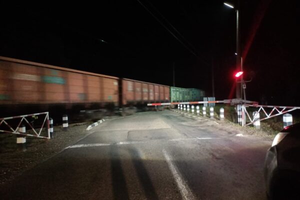 Звірів Волинь приватизували дорогу посадовці ДП Ліси України