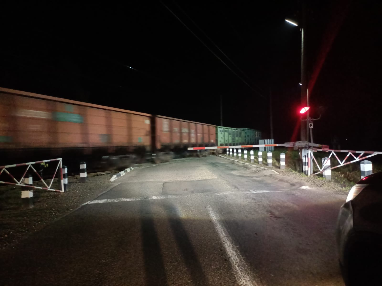 Звірів Волинь приватизували дорогу посадовці ДП Ліси України