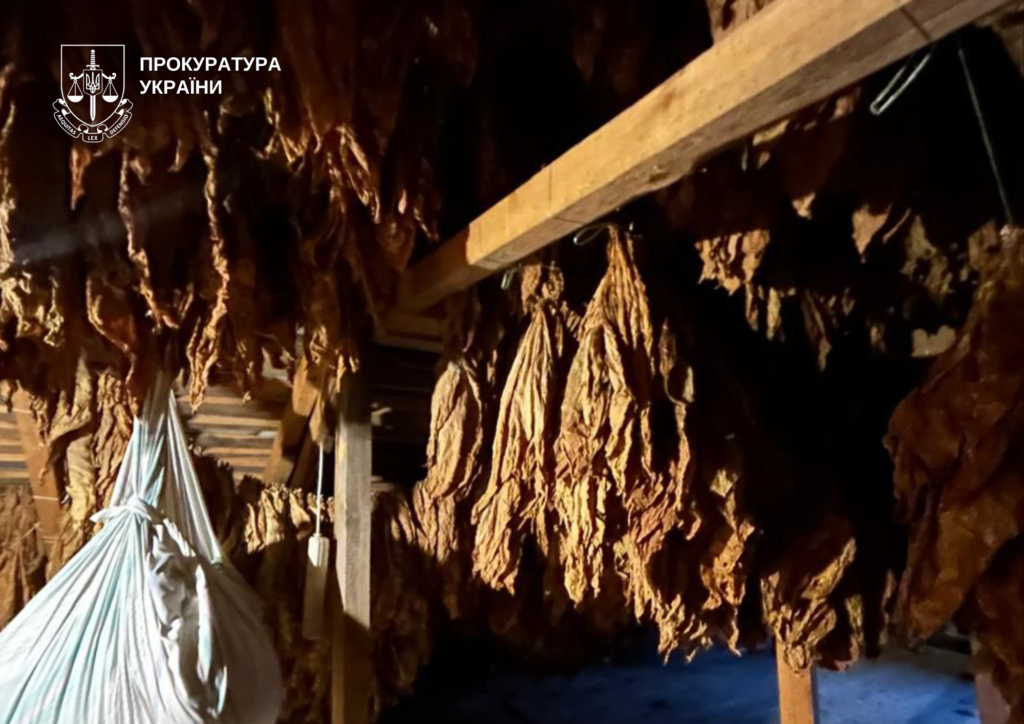 Троє жителів Ковельського району налагодили кустарне виробництво сигарет у власних оселях та підсобних приміщеннях. 