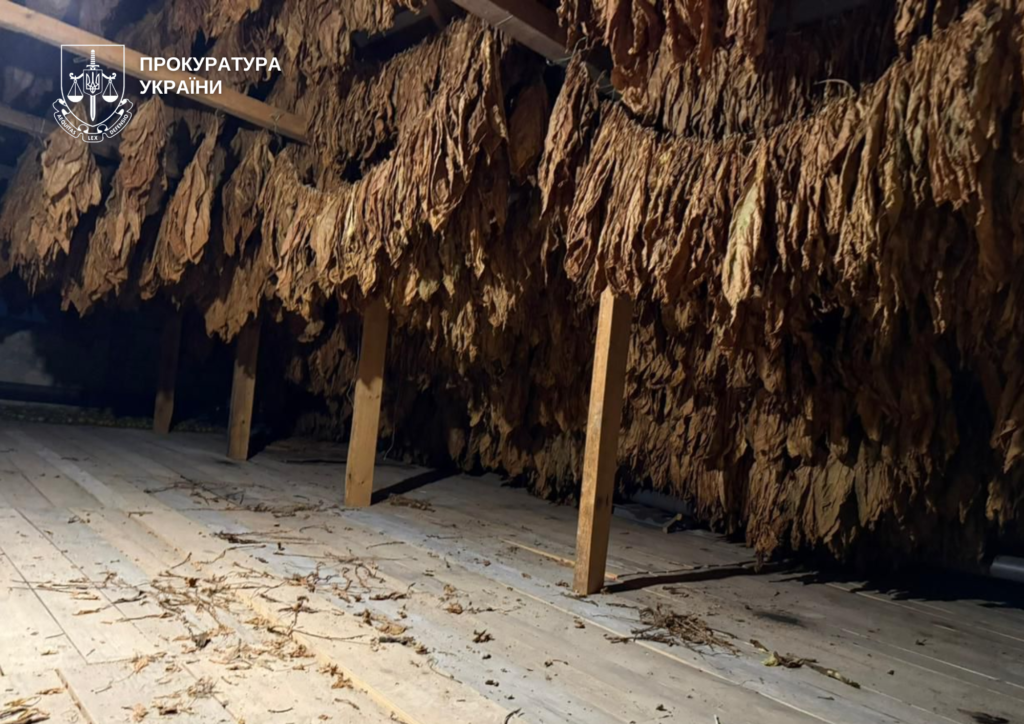 Троє жителів Ковельського району налагодили кустарне виробництво сигарет у власних оселях та підсобних приміщеннях. 