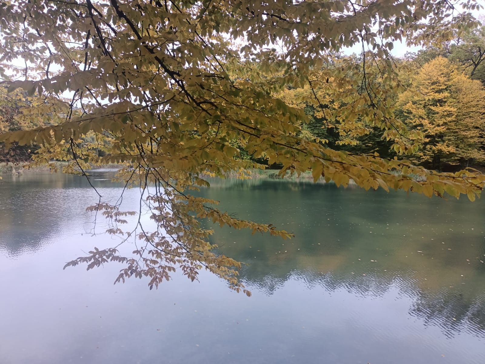 Погода Волинь листопад