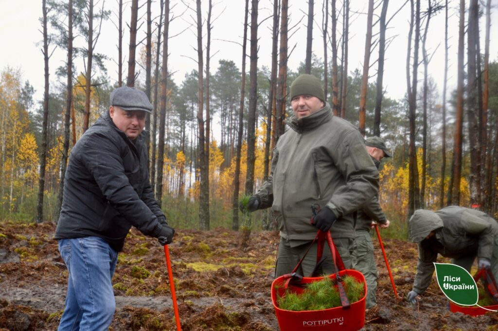 На Волині висадили «Ліс памʼяті»