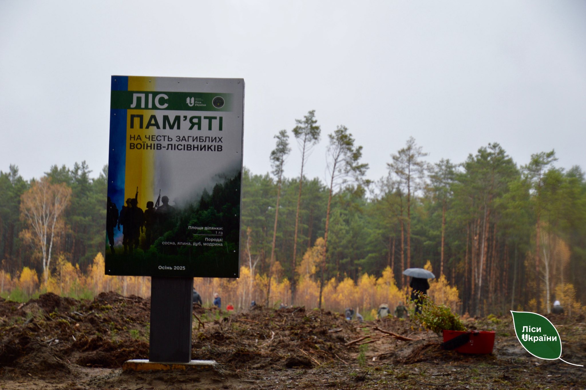 На Волині висадили «Ліс памʼяті»