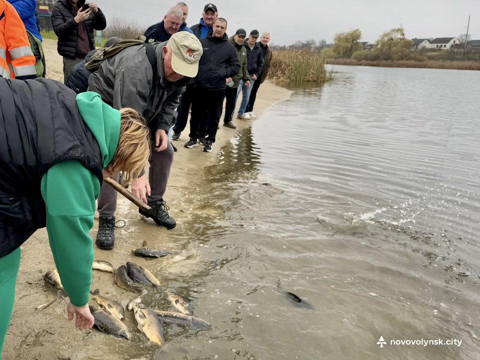 У Нововолинське озеро запустили майже пів тонни риби