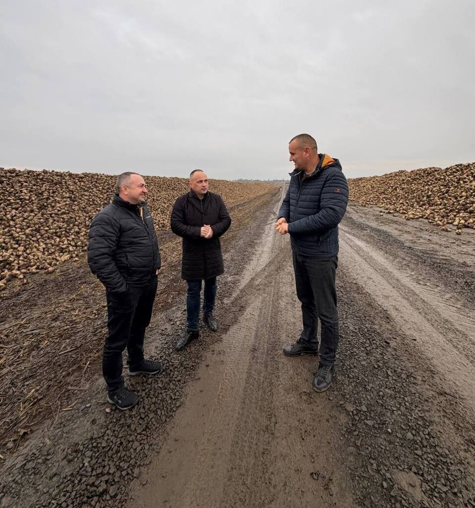 На Волині завершено збирання цукрових буряків 