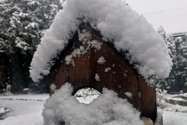 Погода Волинь 23 листопада
