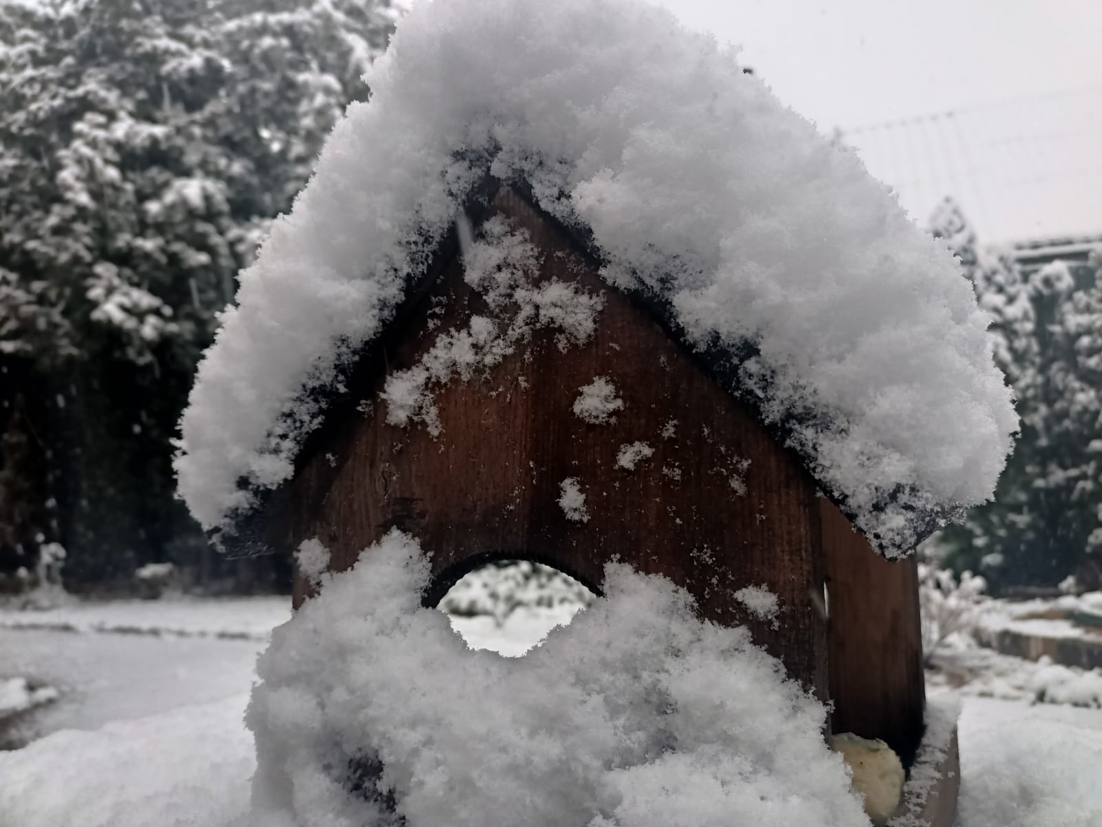 Погода Волинь 23 листопада