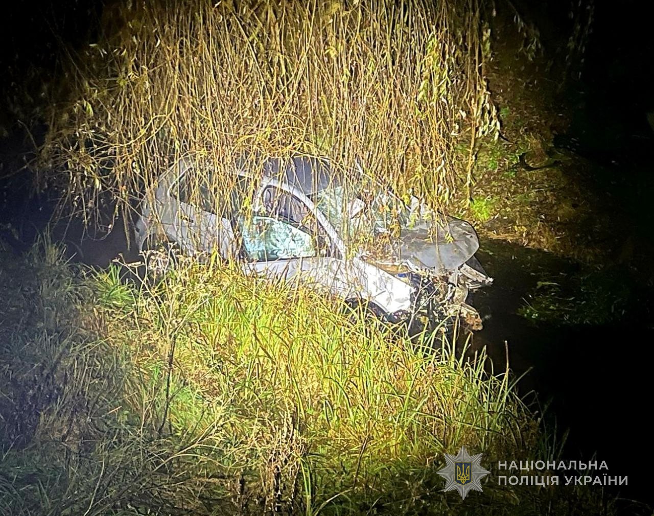 На Камінь-Каширщині п'яний водій з мосту злетів у річку 