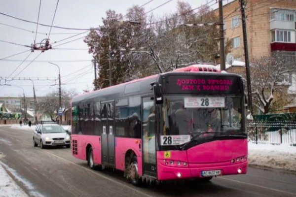 рожевий автобус у Луцьку