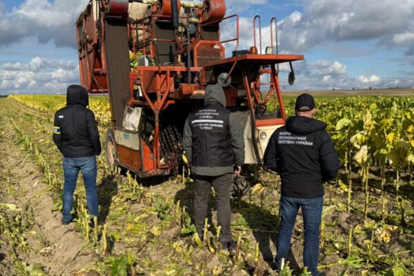 На Волині фермерське господарство незаконно вирощувало тютюн 