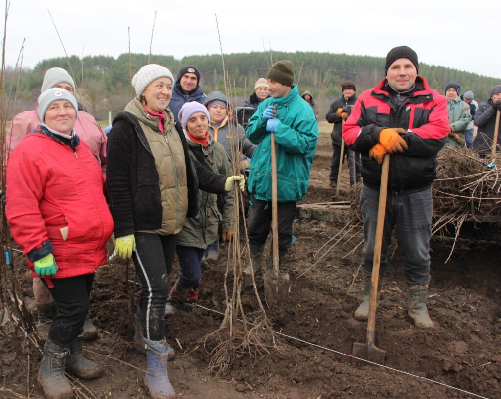 На Горохівщині заклали майже 50 га вишневого саду 