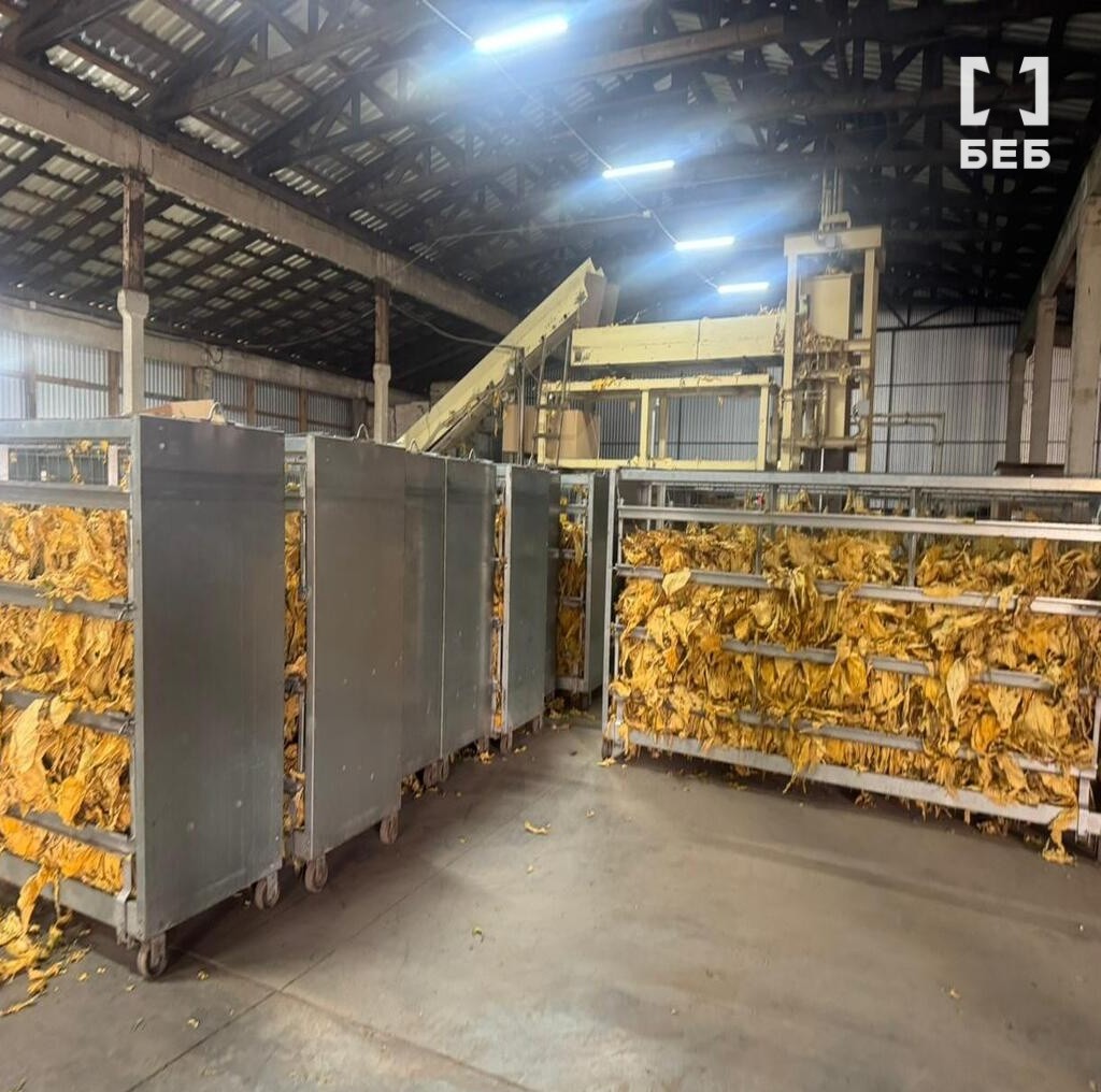 На Волині фермерське господарство незаконно вирощувало тютюн 