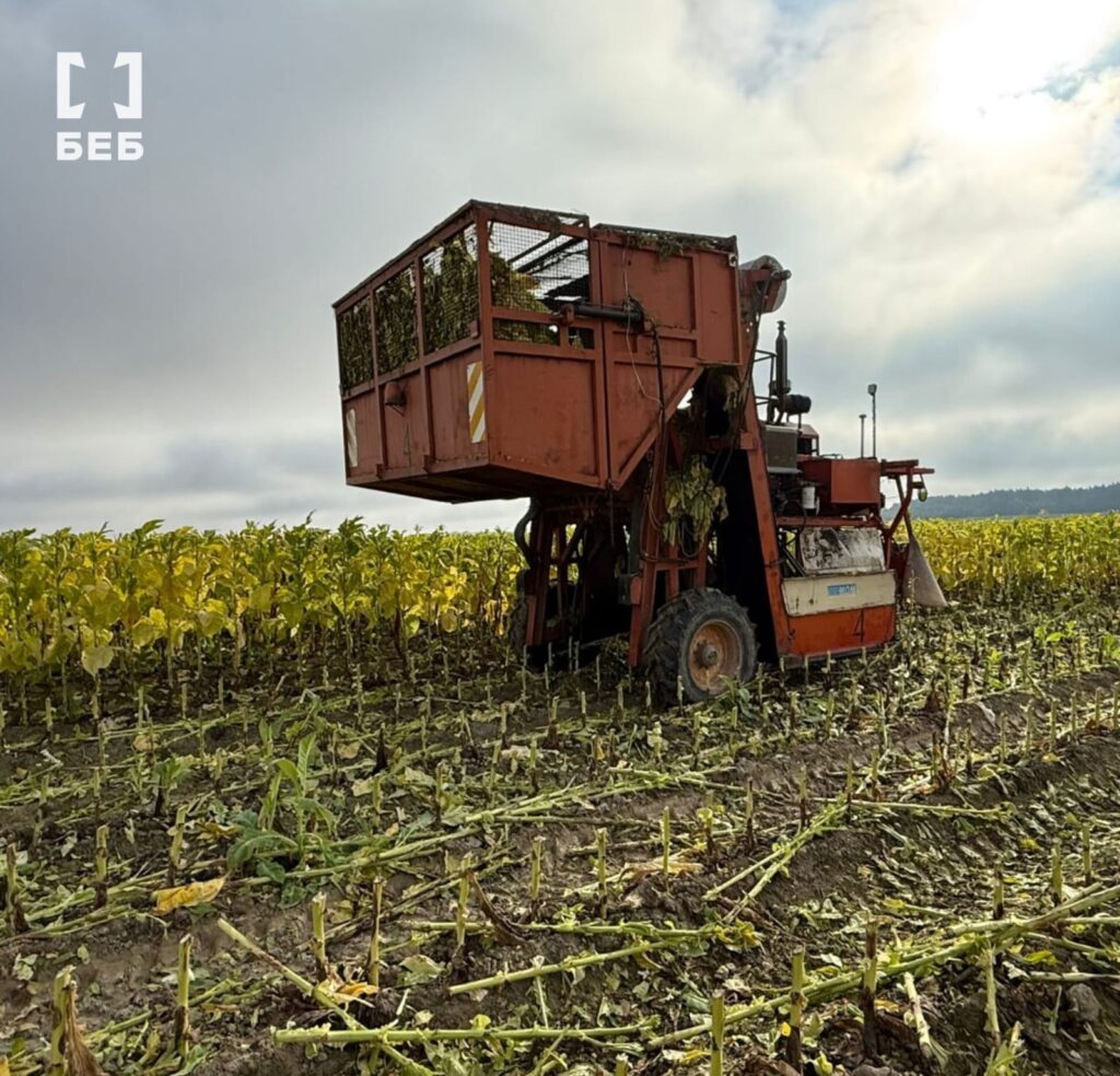 На Волині фермерське господарство незаконно вирощувало тютюн 