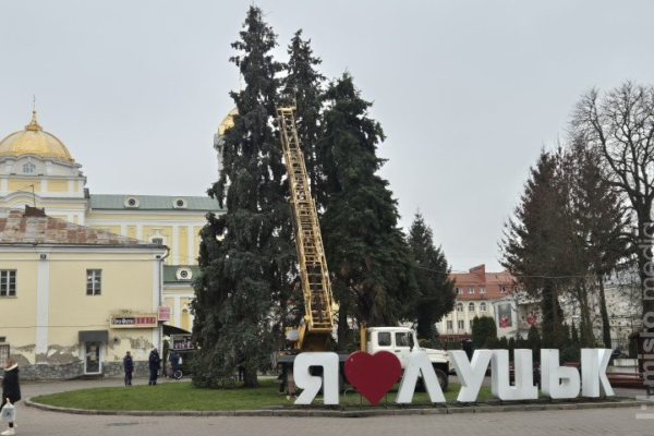 ялинка в Луцьку
