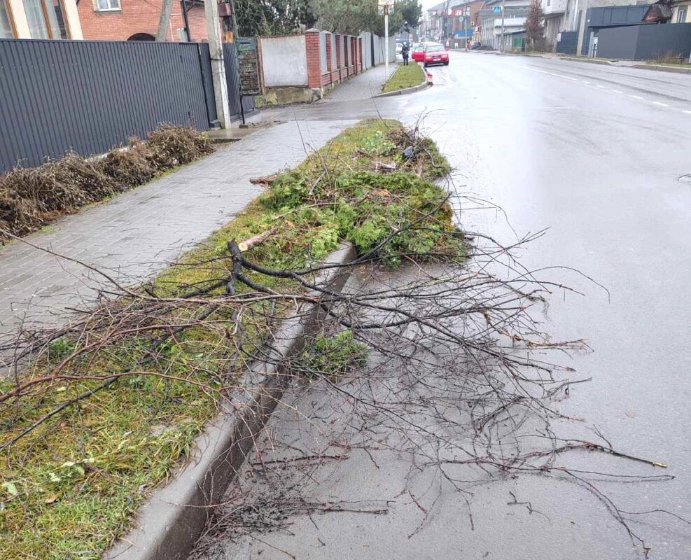 Ковель сміття відповідальність