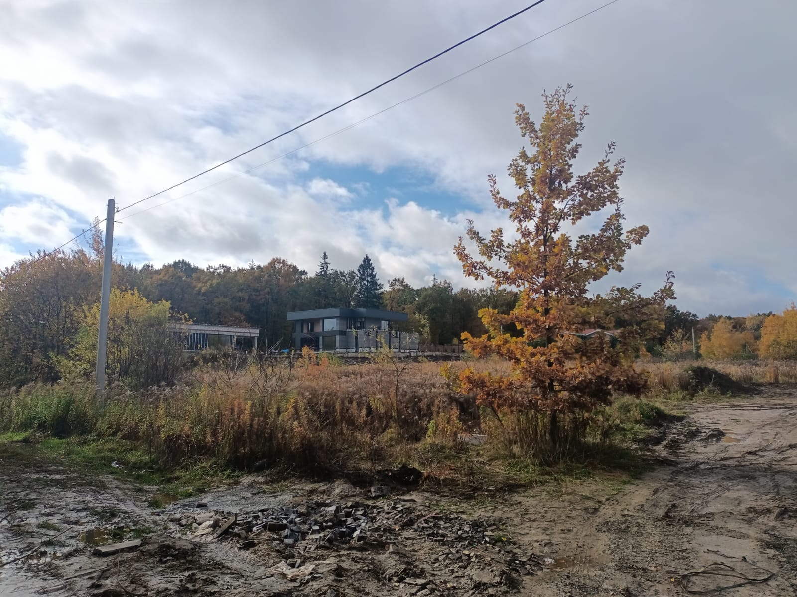 Погода Волинь 15 грудня