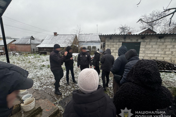 15-річний злочинець до смерті забив пенсіонерку «фомкою» 