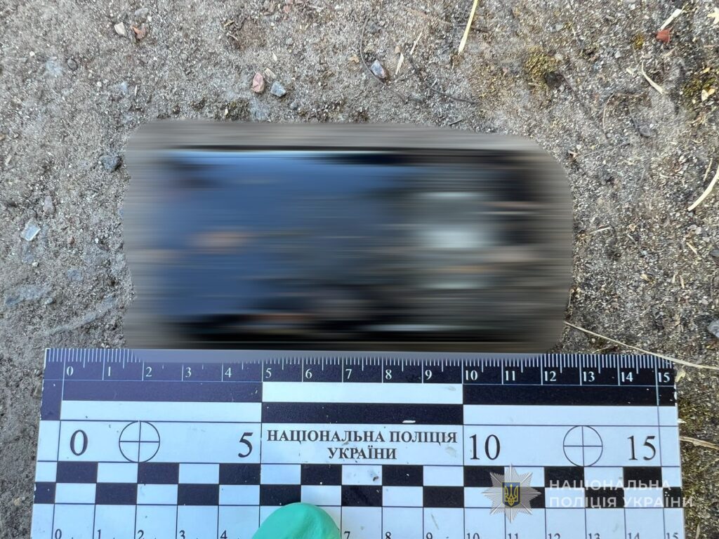 15-річний злочинець до смерті забив пенсіонерку «фомкою»