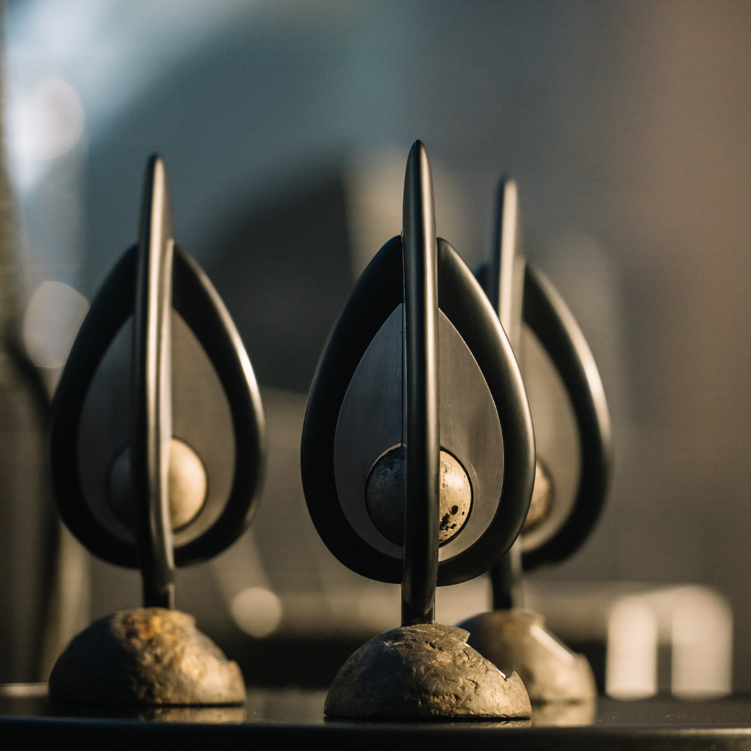 Луцькі ініціативи увійшли до Довгого списку Премії відповідальності 2025