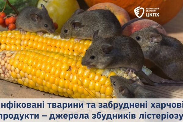 Хвороба лістеріозу підтверджена в лабораторії Волинського обласного центру контролю та профілактики хвороб. 