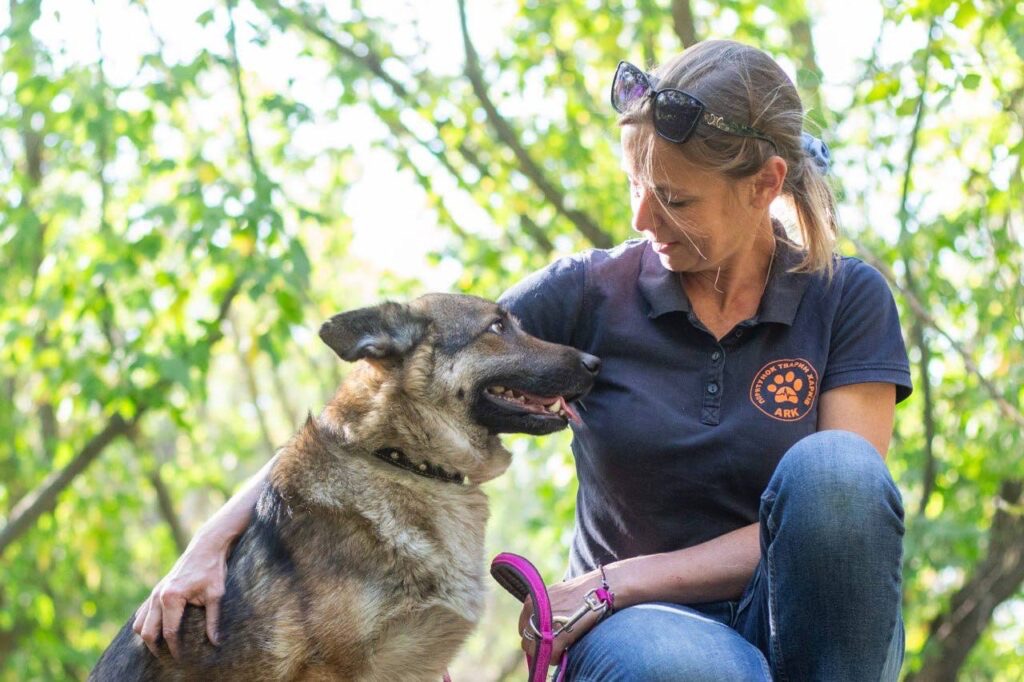 порятунок собак
