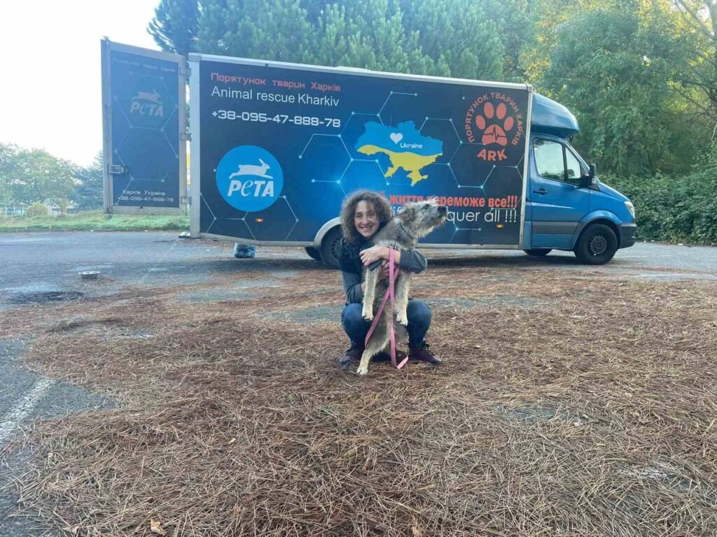 порятунок собак
