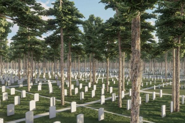 Верховний Суд ріення про демонтаж Національного військового меморіального кладовища протест ЗСУ