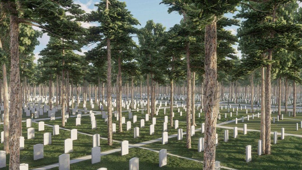 Верховний Суд ріення про демонтаж Національного військового меморіального кладовища протест ЗСУ