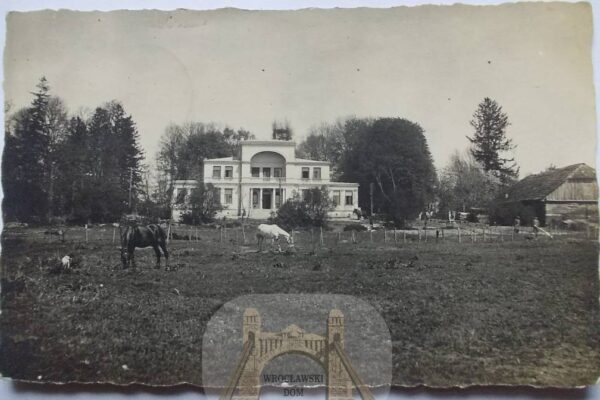 МАєток Новий Двір Волинь дворяни рід Поморських