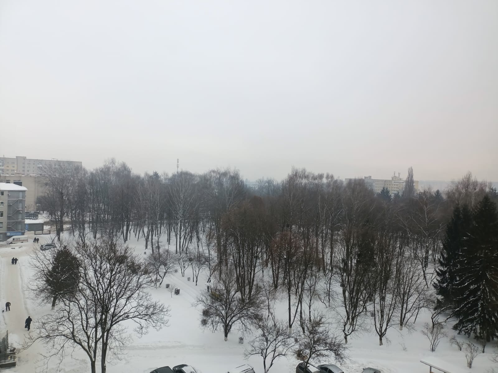 18 січня 2026 року Волинь погода мороз