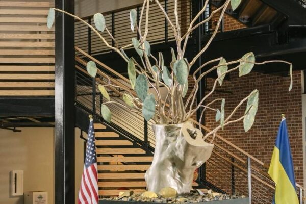 «Дерево Ковеля» в американському місті Шамблі  