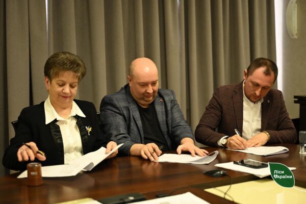 ДП "Ліси України"