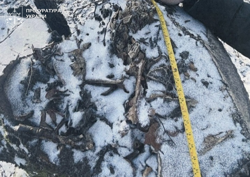 На Волині судять майстра лісу