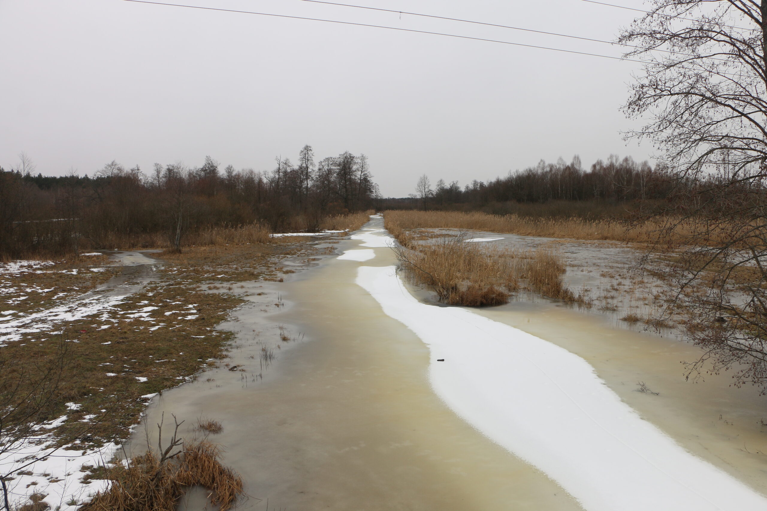 Волинь повінь 2026 рік нарада