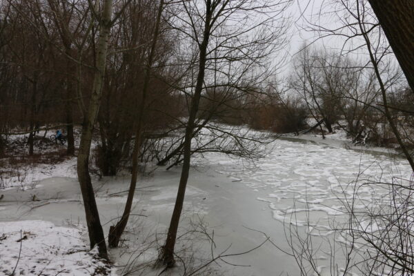 Лучанина спіймав на спінінг ляща гіганта в річці