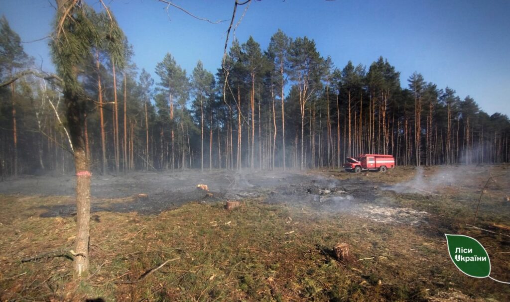 На Волині вигорів майже гектар лісу