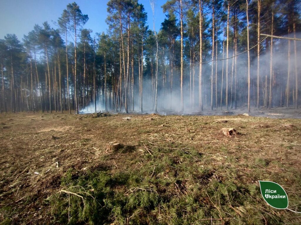 На Волині вигорів майже гектар лісу