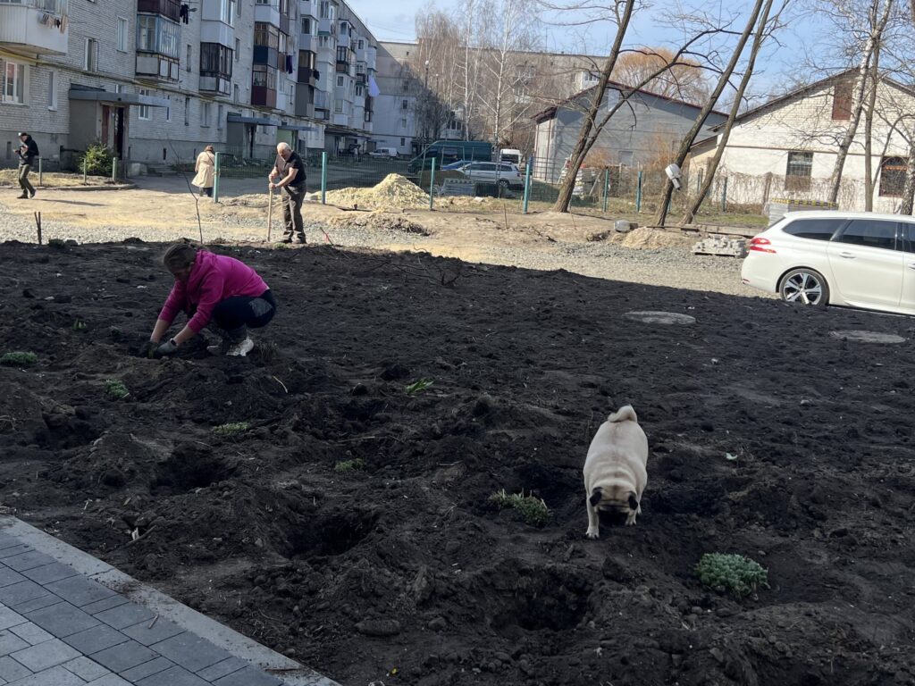 Роботи ведуться у дворах 