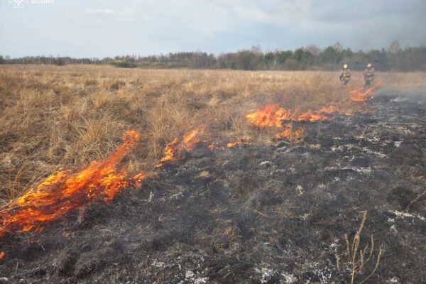 На Волині різко зросла кількість пожеж у природних екосистемах 
