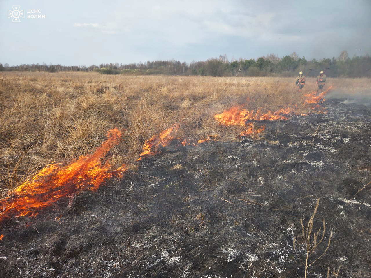 На Волині різко зросла кількість пожеж у природних екосистемах 