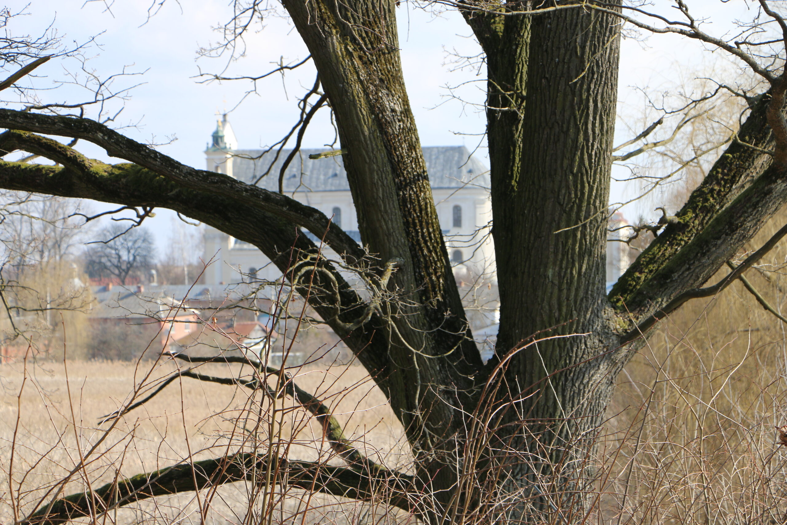 Толока Олика Замок Радзивіллів