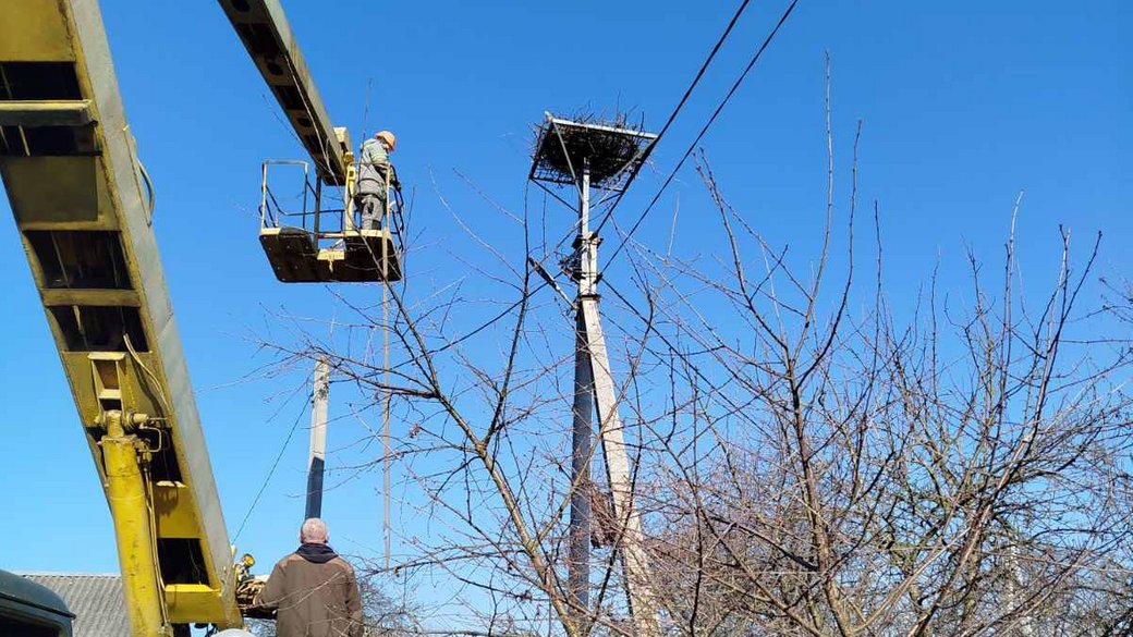 Платформи для гнізд лелек Львівська Волинська область електроопори