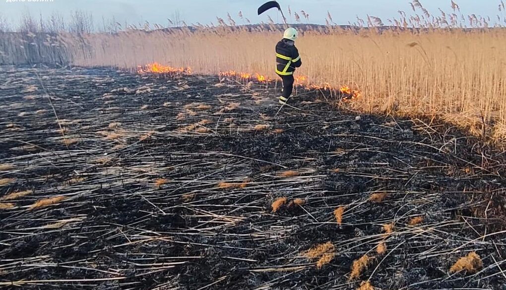 Пожежі Волинь причини покарання ДСНС