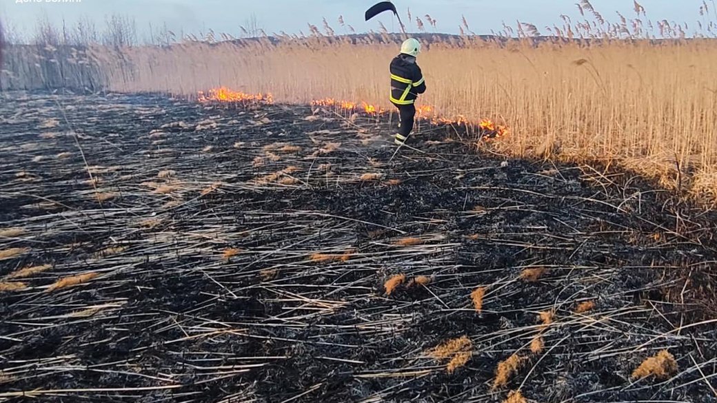 Пожежі Волинь причини покарання ДСНС