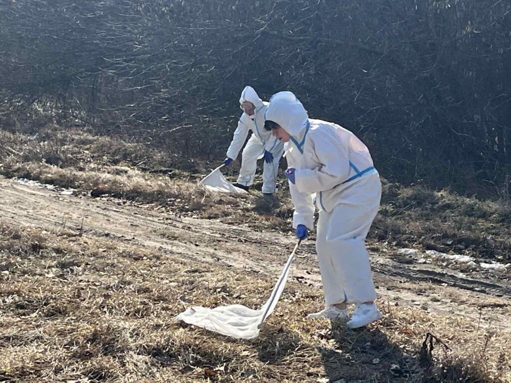 На Волині активізувалися кліщі 