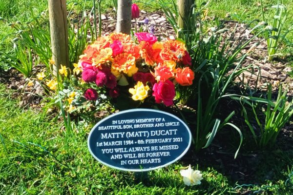 Дерева на честь померлих Лондон