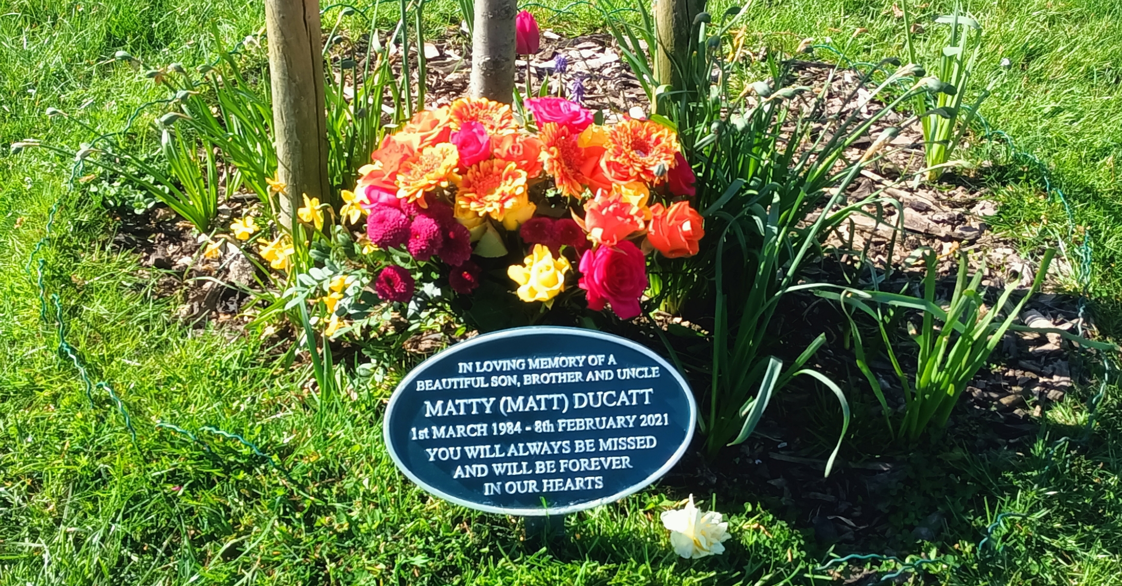 Дерева на честь померлих Лондон