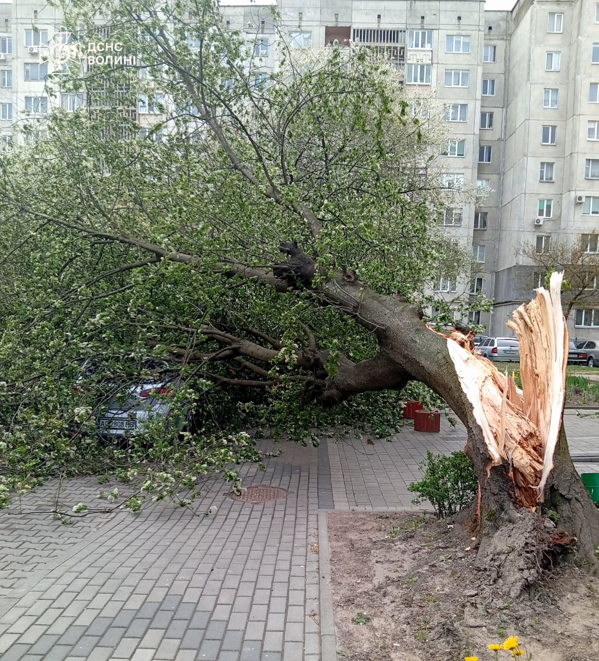 Буревій Волинь Люблінське воєводство 26 квітня наслідки